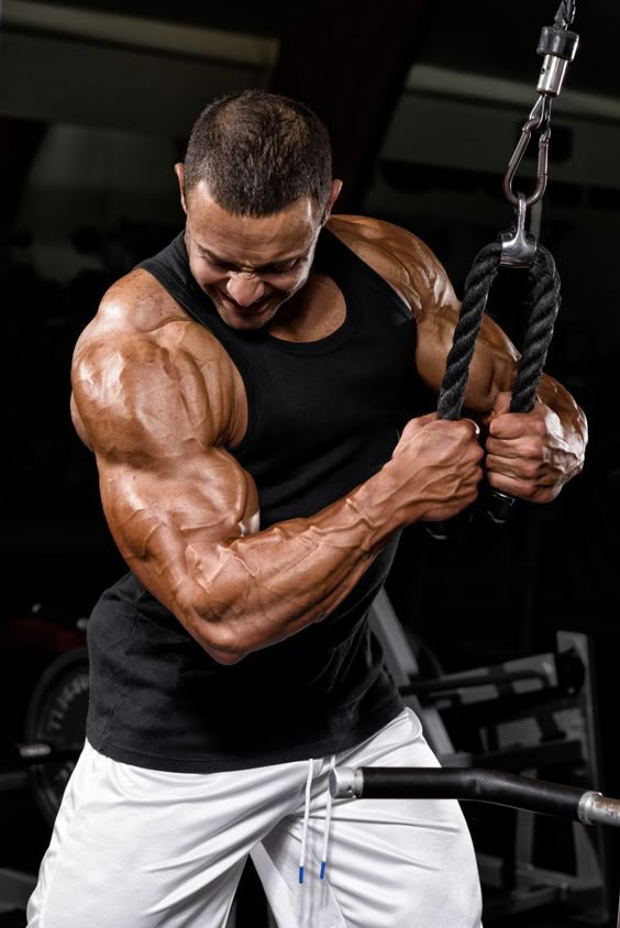 muscle gaining